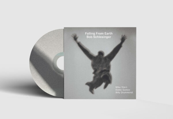 Falling From Earth | Bob Schlesinger