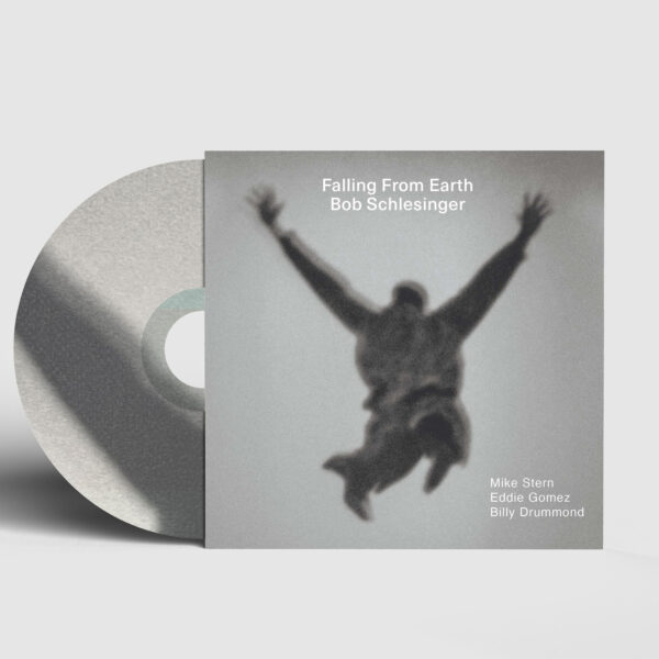 Falling From Earth | Bob Schlesinger