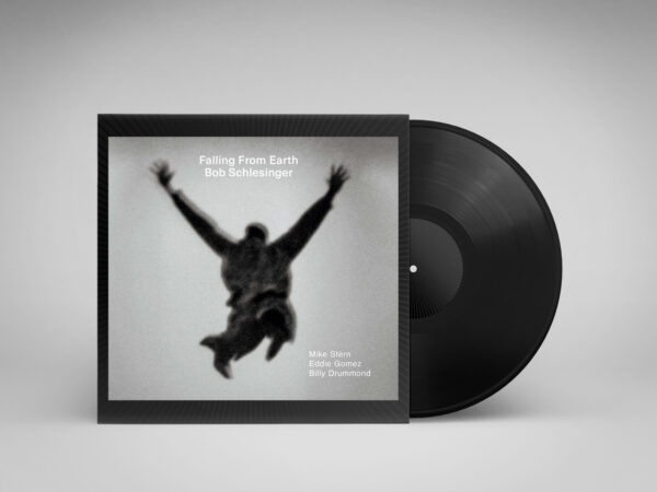 Falling From Earth | Bob Schlesinger