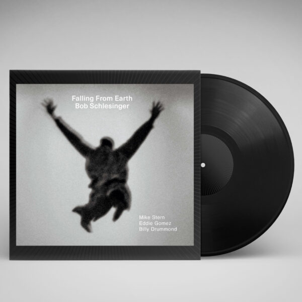 Falling From Earth | Bob Schlesinger