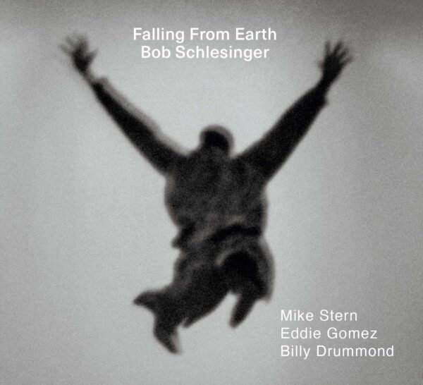 Falling From Earth | Bob Schlesinger