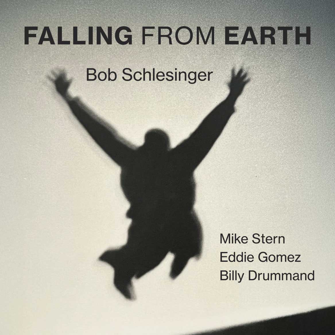 Bob Schlesinger | Falling From Earth